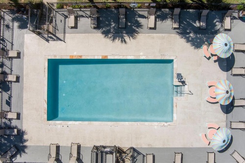 Beachfront Palms Hotel image 7